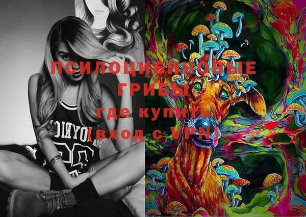 молекула духа Лихославль