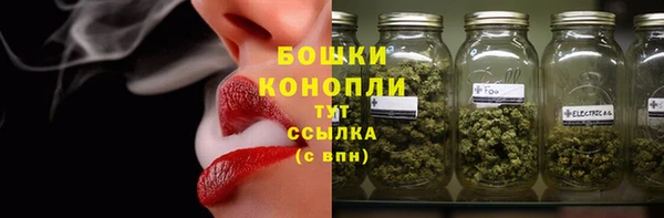 молекула духа Лихославль