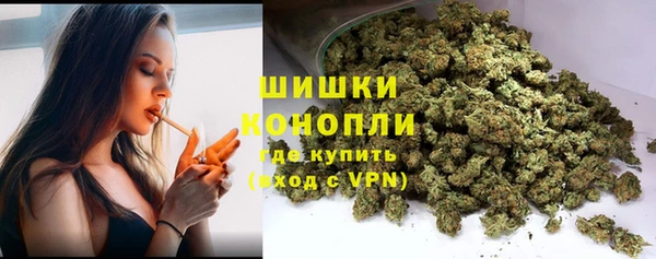 молекула духа Лихославль